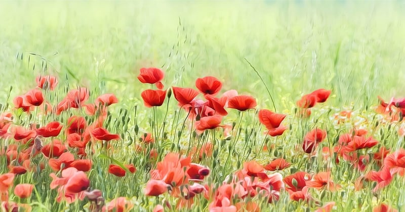 Comment optimiser la section hero de votre site pour capter l’attention